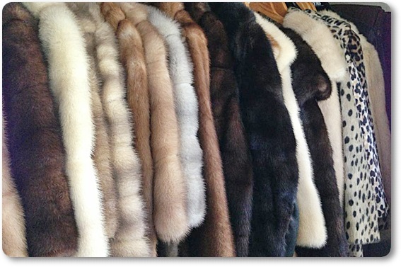 �є甃��E�{�錧�ō��z����E��������Ȃ�R�R�������I